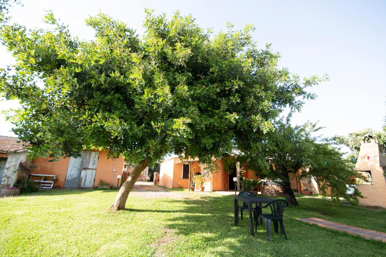 Is Cuccus Masainas Exterior foto